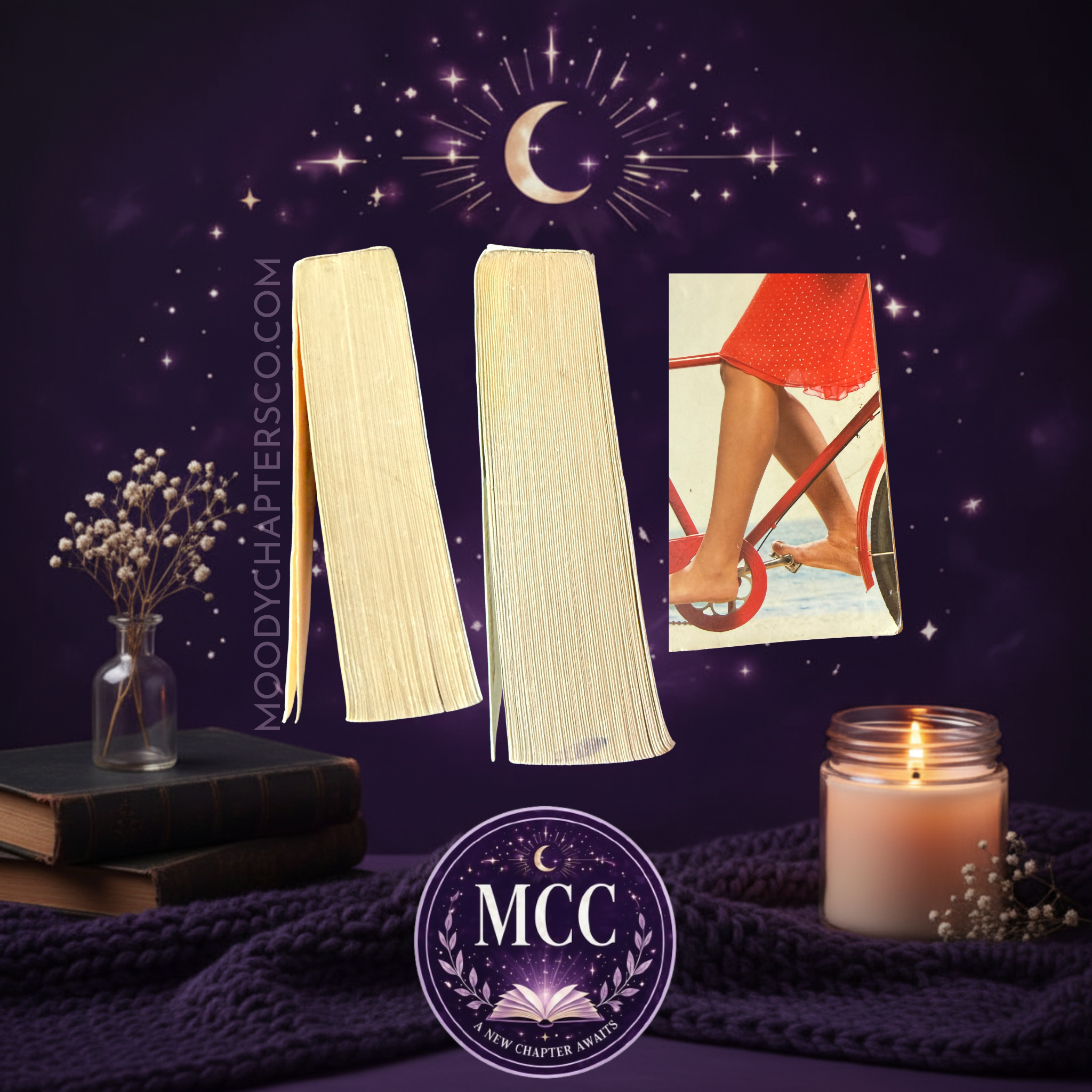 DAMAGES and CONDITIONS of Along for the Ride by Sarah Dessen. 
MCC- Moody Chapters Co.
www.moodychaptersco.com