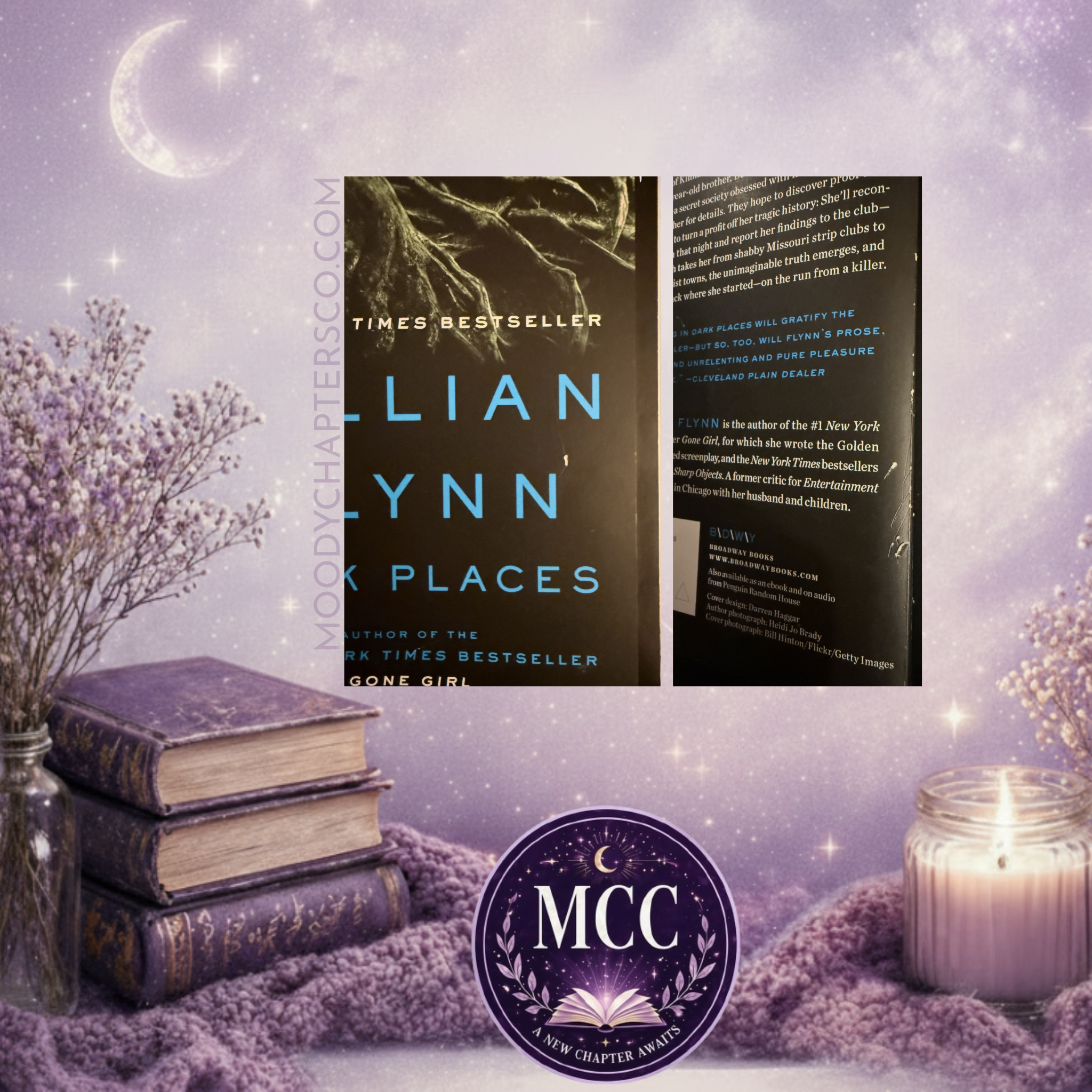 Dark Places— Gillian Flynn| Paperback