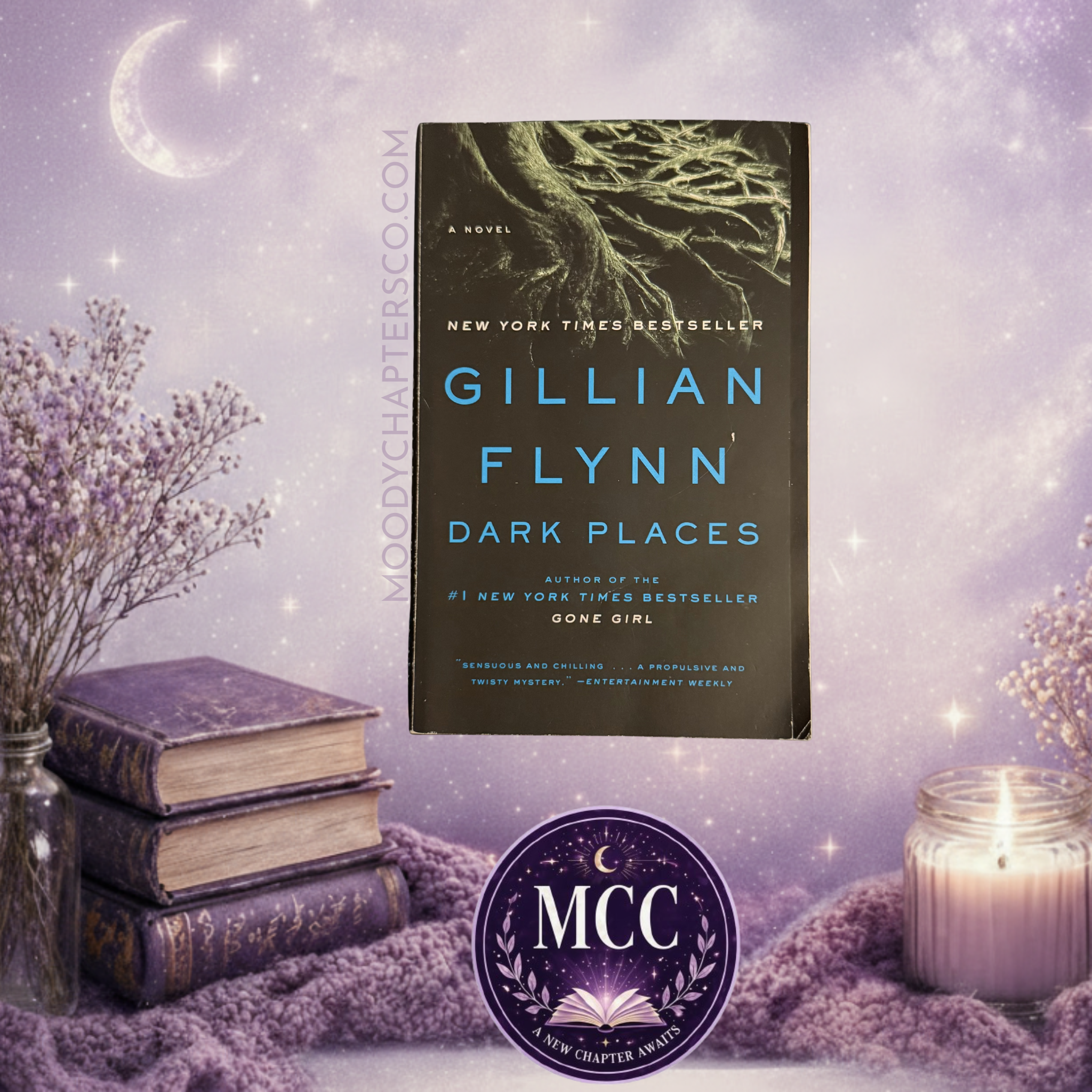 Dark Places— Gillian Flynn| Paperback